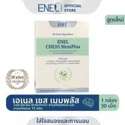 ENEL-CHESS-MemPlus