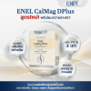 enel calmag Dplus แคลเซียมสูตรใหม่