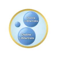 Choline L-Bitartrate (โคลีน แอล-ไบทาร์เทรต)