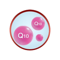 Co Enzyme Q10