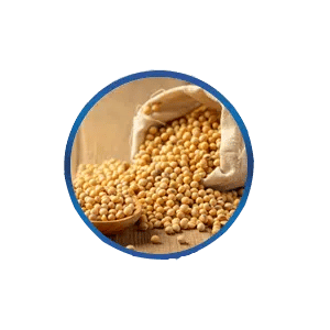 Soy Bean Extract สารสกัดจากเมล็ดถั่วเหลือง