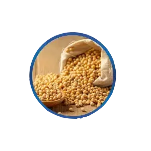 Soy Bean Extract สารสกัดจากเมล็ดถั่วเหลือง