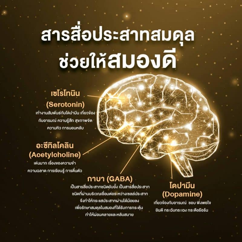 อัลบั้ม 99+ ภาพพื้นหลัง สารสื่อประสาทในสมอง ความละเอียด 2k, 4k