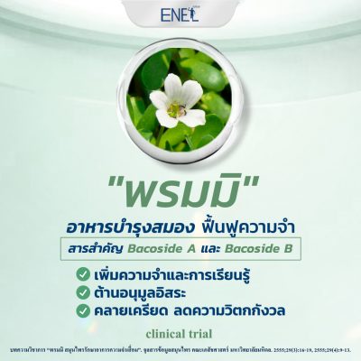 พรมมิ อาหารบำรุงสมอง ฟื้นฟูความจำ