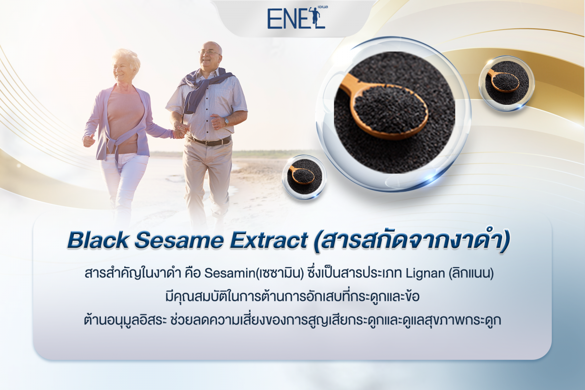 Black Sesame Extract (สารสกัดจากงาดำ) 