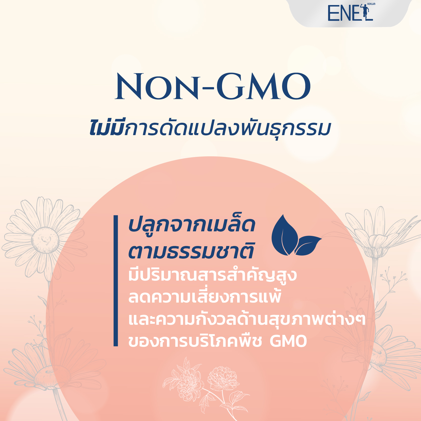 Non-GMO ไม่มีการดัดแปลงพันธุกรรม