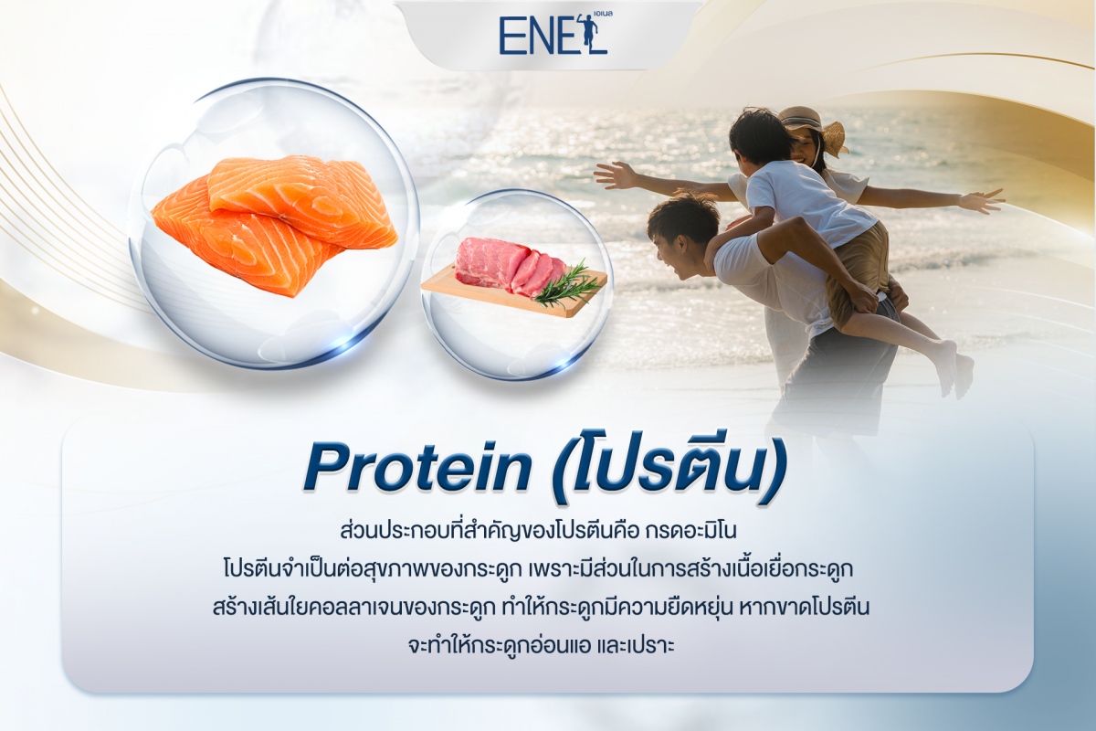 Protein (โปรตีน)