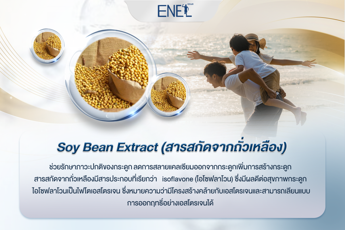Soy Bean Extract (สารสกัดจากถั่วเหลือง)