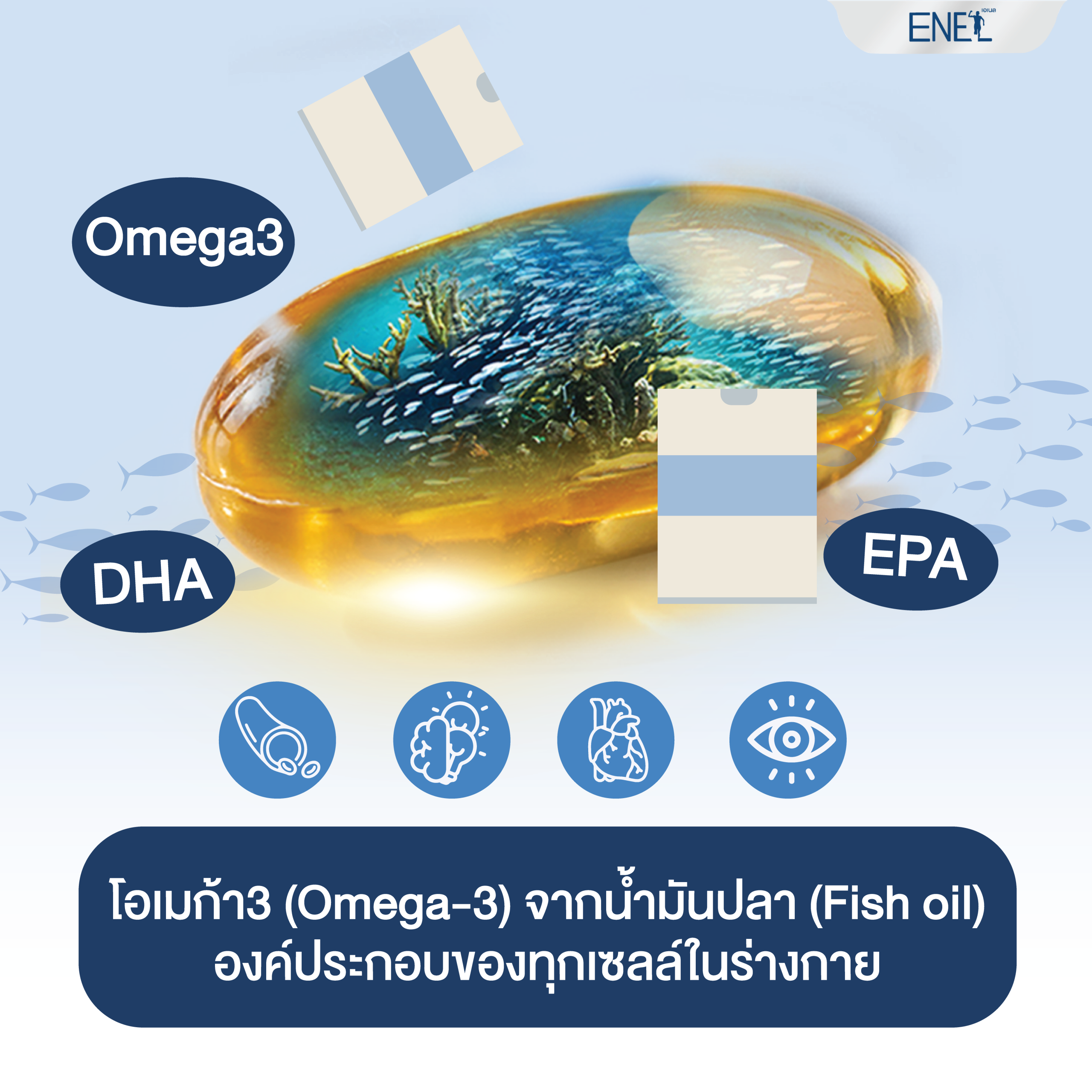 โอเมก้า3 (Omega-3) จากน้ำมันปลา (Fish oil)